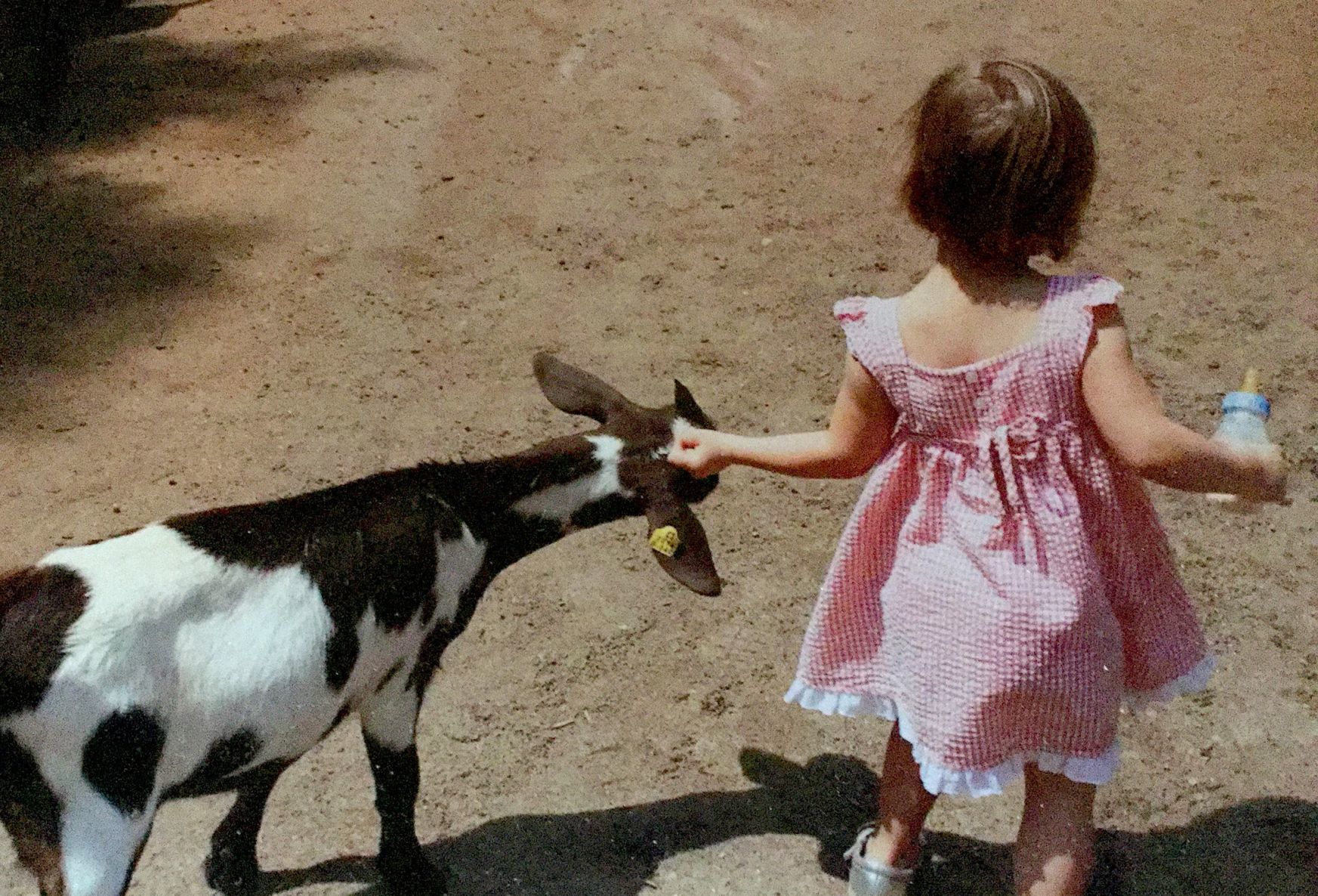 Taking the goat by the horns